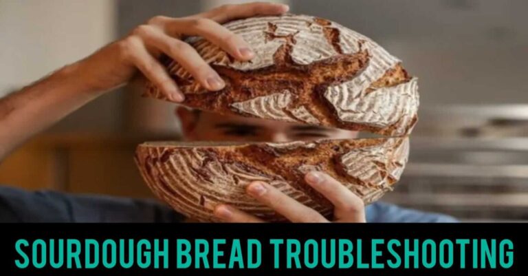 Sourdough Bread Troubleshooting