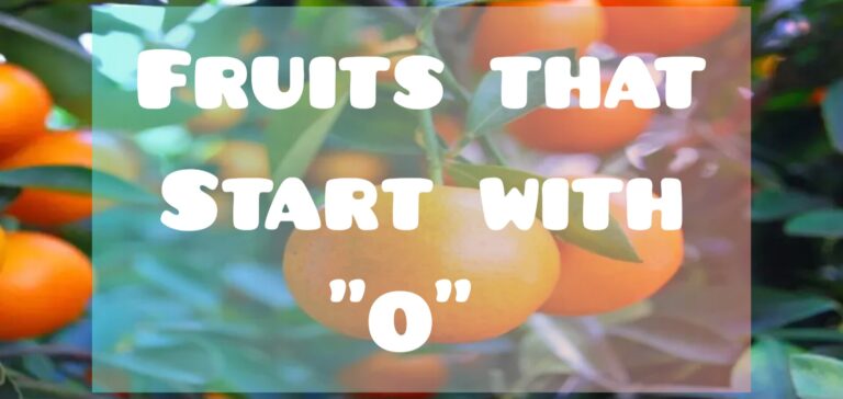 fruits that start with o