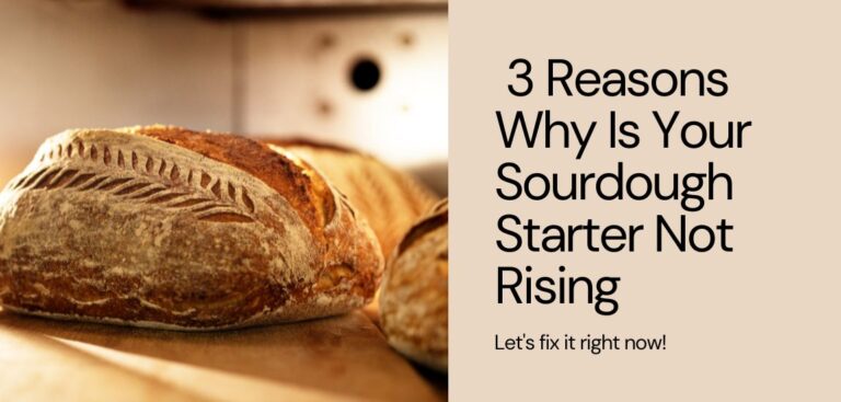 why is your sourdough starter not rising
