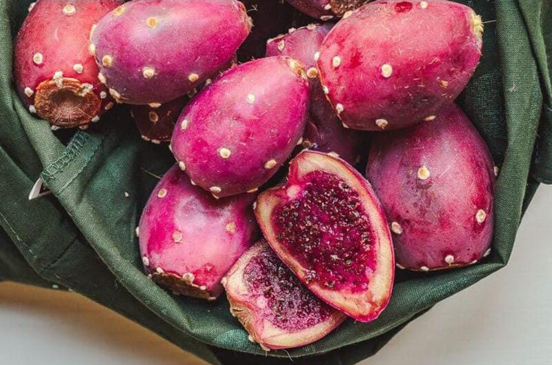 P for Prickly Pears