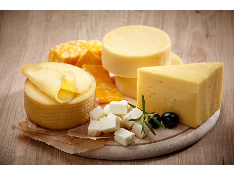 Urgelia Cheese